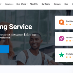 EssayService review